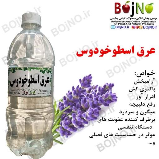 عرق اسطوخودوس سنتی بجنو (آب چشمه)